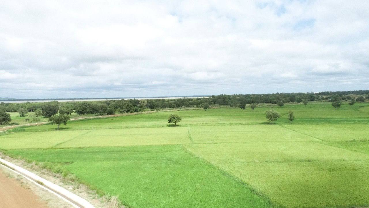 whatsapp image 2026 02 03 at 10.52.54 pm 1.jpeg