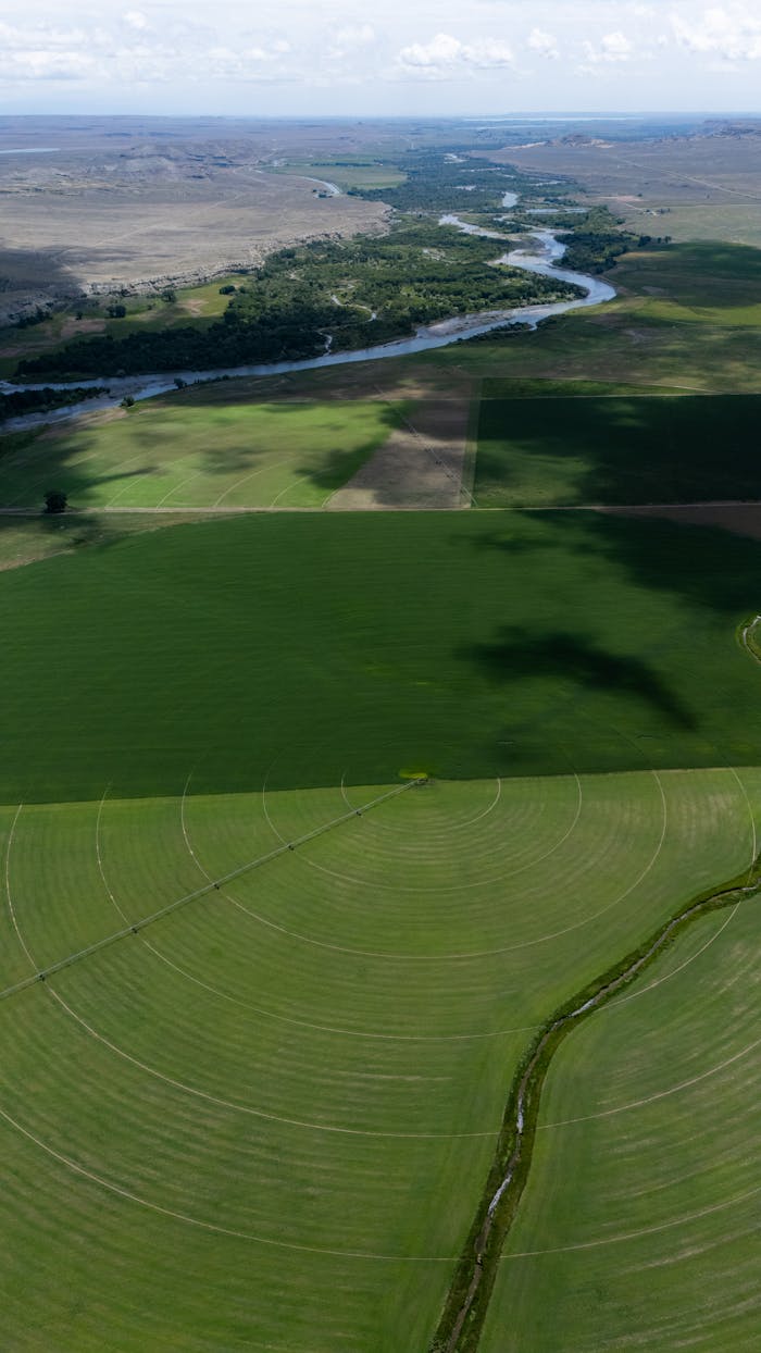 pexels photo 34031023.jpeg